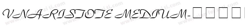 VnAristote Medium字体转换